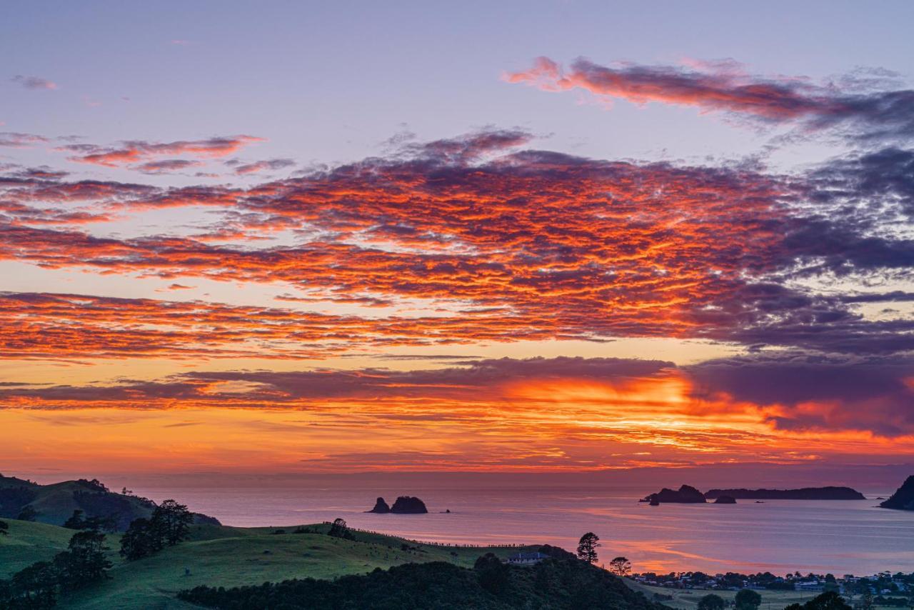 Bayview Valley Lodge Bed & Breakfast Whitianga Zewnętrze zdjęcie