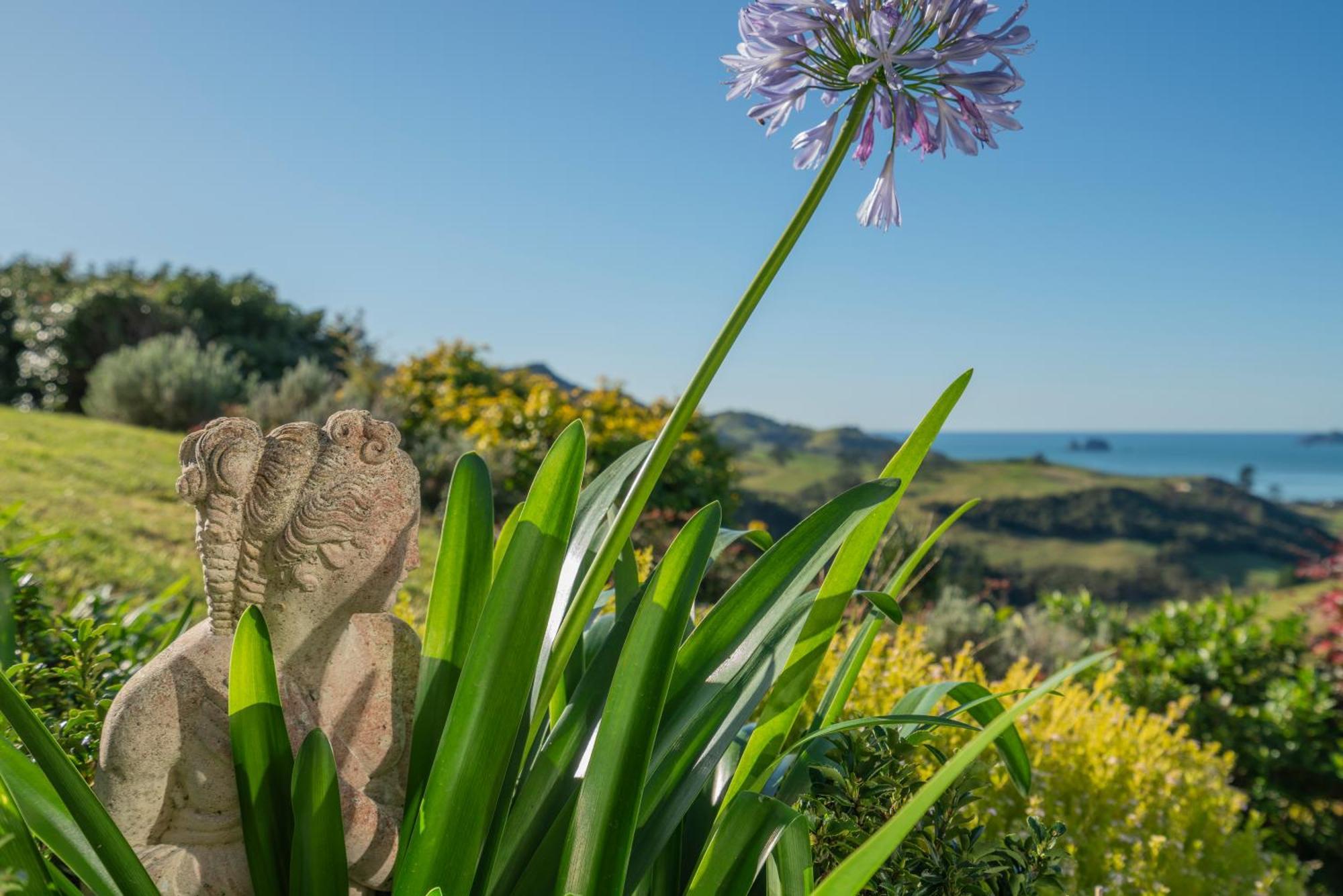 Bayview Valley Lodge Bed & Breakfast Whitianga Zewnętrze zdjęcie
